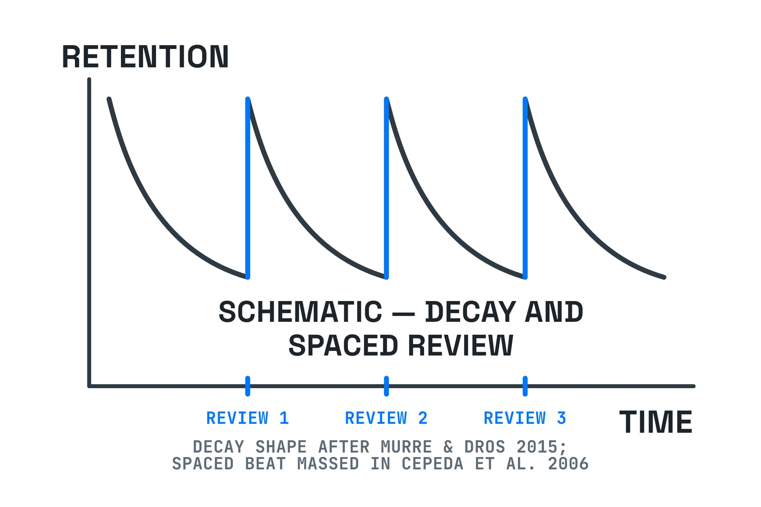 A schematic of retention: it falls after study, and each spaced review raises it again, with the decay shape drawn after a replicated forgetting curve.